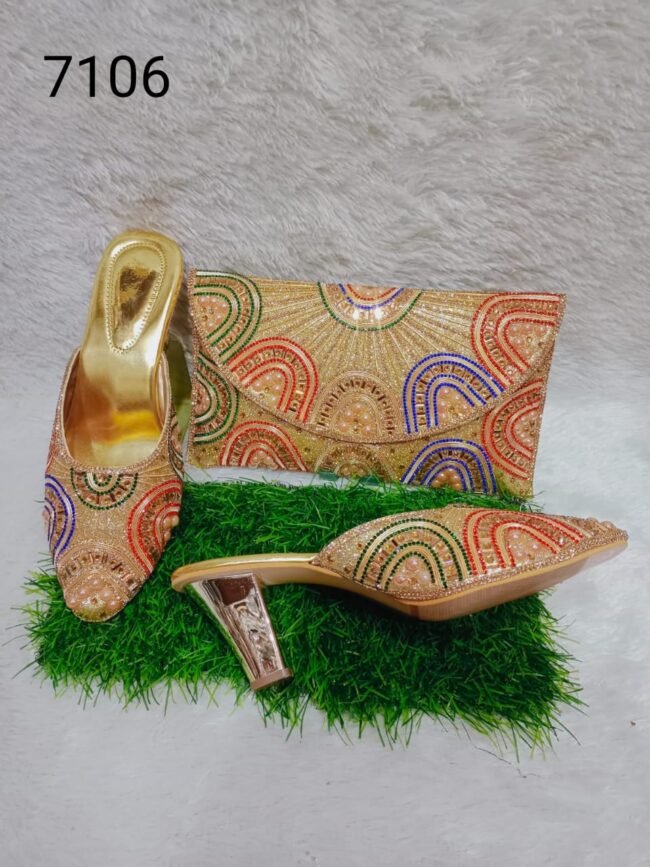 New Trendy Multi Color Ladies Purse & Shoe For Women