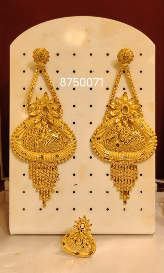 Beautiful Designer 2 Gram Gold Earring Set For Women D.N- E5451