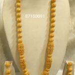 Party Wear Long Necklace with Earring Set