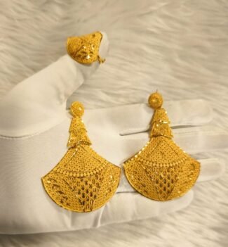 Beautiful Designer 2 Gram Gold Earring Set For Women D.N- E5460